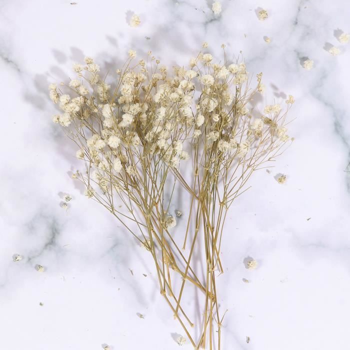 130 Fleurs Séchées Gypsophile (Baby Breath) Avec Pince - Pour Résine, Scrapbooking, Décoration Gâteau Et Mariage - Blanc Naturel