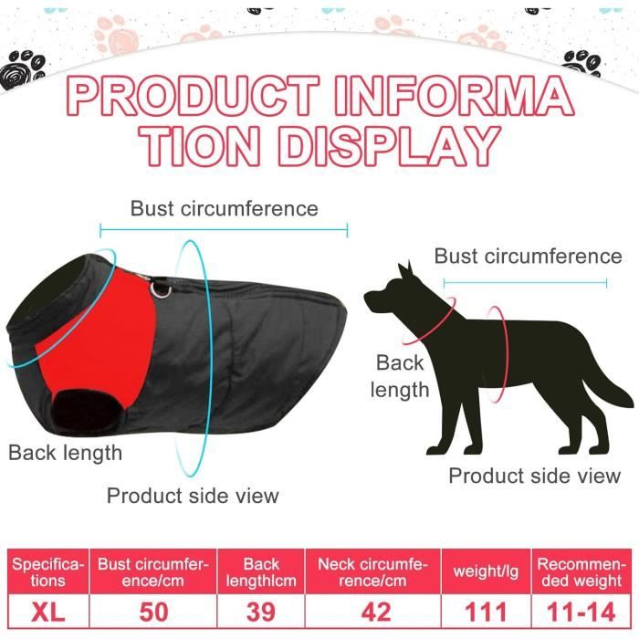 Taille best sale manteau chien