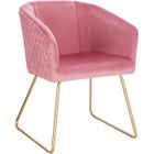 WOLTU Chaise de Salle à Manger en Velours + métal doré,‎43 x 41 x 76.5 cm Rose