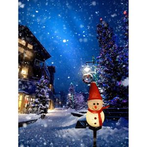 Solaire Décoration de Noël Bonhomme de neige Lumières de pieu Imperméable à  l'eau Lumière de chemin du Nouvel An pour Jardin Hiver Arrière-cour  Éclairage de Noël