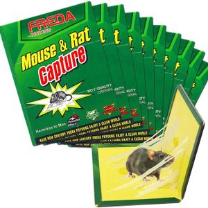 Tube de colle pour rat et souris Debello anti-rongeurs