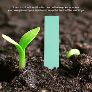 ESSENCE MOTEUR OUTIL 100 étiquettes de graines de plantes en PVC - DRFE