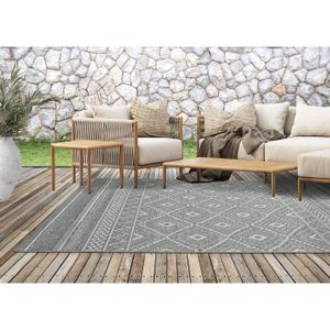 TAPIS Tapis de Salon ou Terrasse en gris 67x180 | Tapis plat moderne | Rectangulaire | Interieur et Exterieur - The Carpet Ottowa