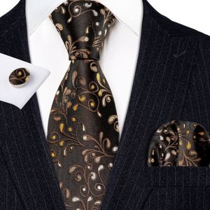 CanVivi Cravate pour Hommes Cravates à Motif rayé élégant Cravate Parfaite pour Affaires