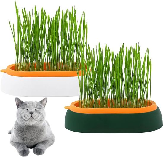 Plateau De Germination Des Graines Plateaux De Germination Des Plantes Panier Hydroponique A Double Couche 1pcs