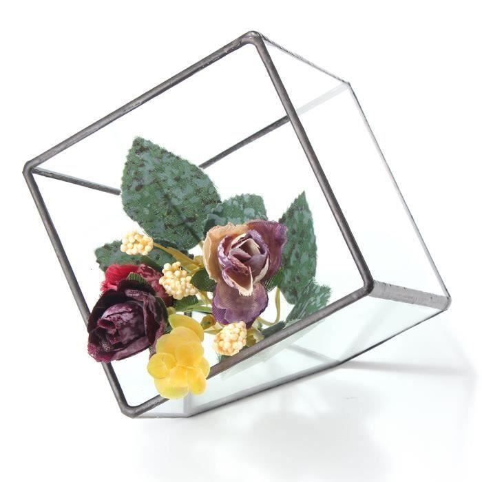 Boîte cube verre vase pot irrégulière pour planteur succulent S Ro37787