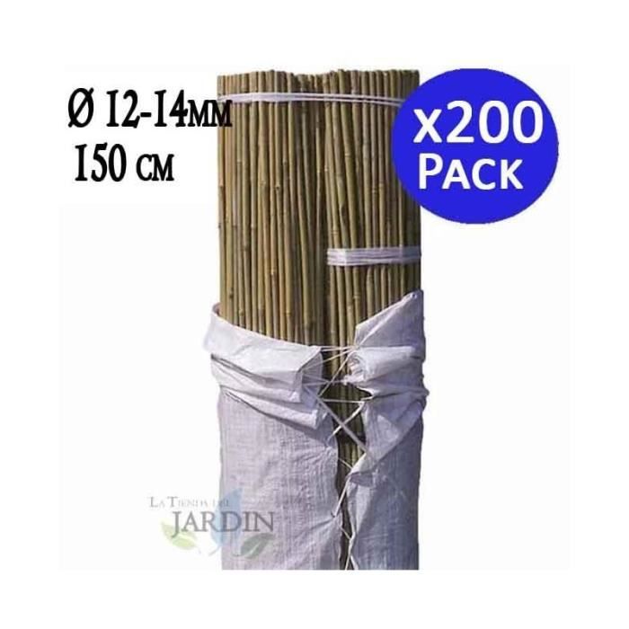 Suinga - Lot 200 x Tuteurs en Bambou 150 cm, 12-14 mm. Tiges de bambou, canne de bambou écologique pour maintenir les arbres, les pl