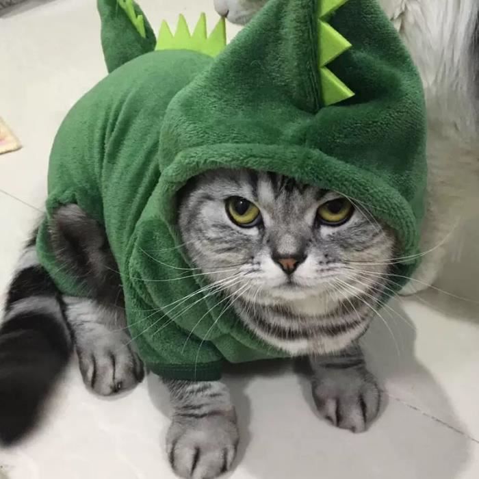 Vetements De Chat Pour Animaux De Compagnie Costume De Dinosaure Amusant Vetements De Chat Chaton Capuche Chiot Vetements De Chien Cdiscount Animalerie