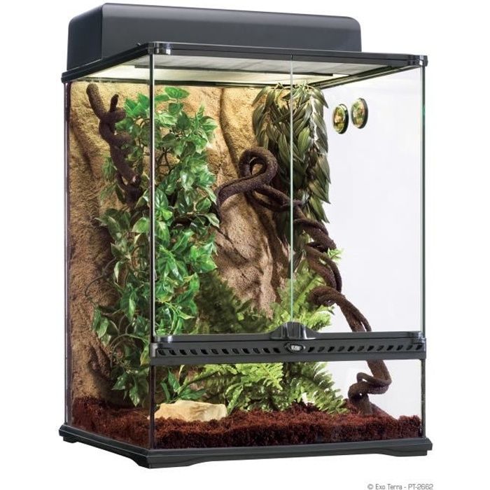 Comparer les prix de EXO TERRA Terrarium forêt pluviale équipé L - Pour reptile ou amphibien