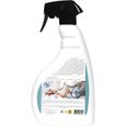 RAMPX VOLX - Insectes Rampants Volants - Effet choc - Sans insecticide - Spray PAE 750ml-1