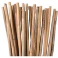 Suinga - Lot 200 x Tuteurs en Bambou 150 cm, 12-14 mm. Tiges de bambou, canne de bambou écologique pour maintenir les arbres, les pl-2