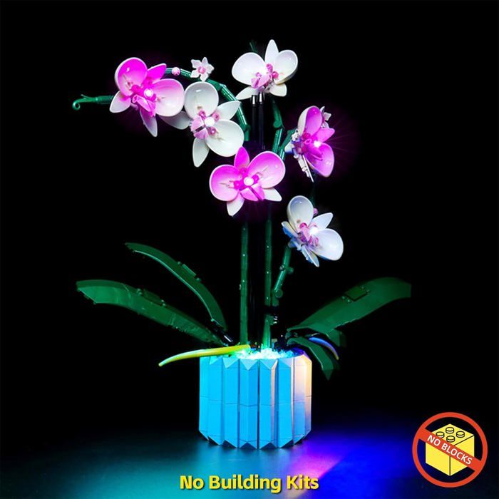 Kit Assemblage Bouquet D'orchidées En Pièces à Monter - Jeu Créatif Adulte/enfant