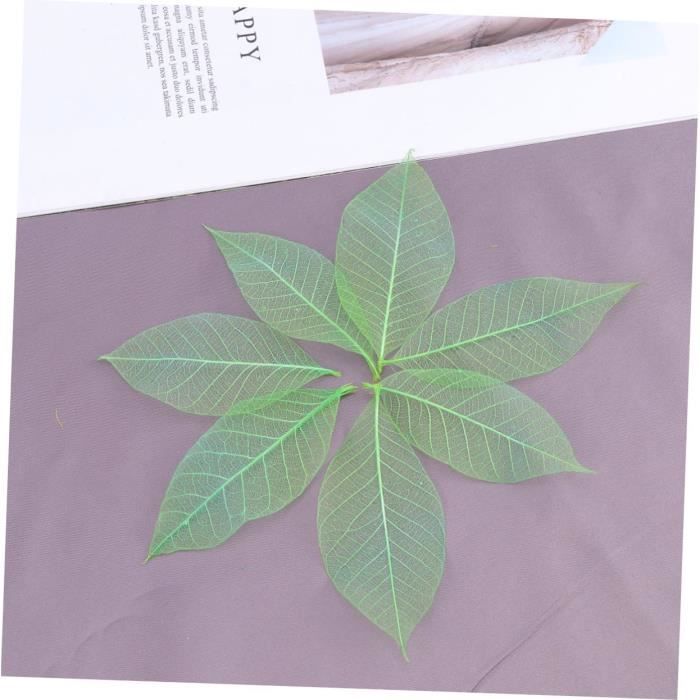 50 Pi ces Artificielle Feuilles Feuille Squelette Art Squelette Naturel 50-pi-ces-artificielle-feuilles-feuille-squelette-art-squelette-naturel