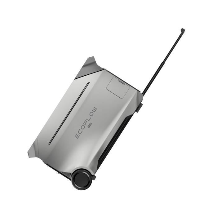 Station électrique Portable EF EcoFlow DELTA 3 1500, Cellules