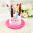 Chapeau Chapeau Avec Chapeau De Chien Chat Chapeau Avec Chapeau D Anniversaire Bougie Design Cadeau Type Colore Rosa One Size B Cdiscount Chapeau Chapeau Avec Chapeau De Chien Chat Chapeau Avec Chapeau D Anniversaire Bougie Design Cadeau Type Colore Rosa One Size B Cdiscount