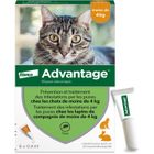 Advantage Solution Antipuce Chat Lapin 1 à 4kg 6 pipettes