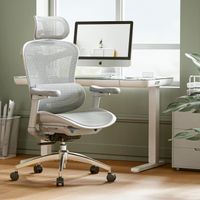 SIHOO Doro C300 Chaise de Bureau Ergonomique avec Soutien Lombaire Dynamique,Accoudoirs et Dossier Réglables 3D Blanc