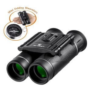 D/étails et Lumi/ère Plus Nets Jumelles 10x42 /étanche et Anti Poussi/ère Prismes de Porro Lentilles Asph/ériques d/’Observation HD pour Les Professionnels du Voyage