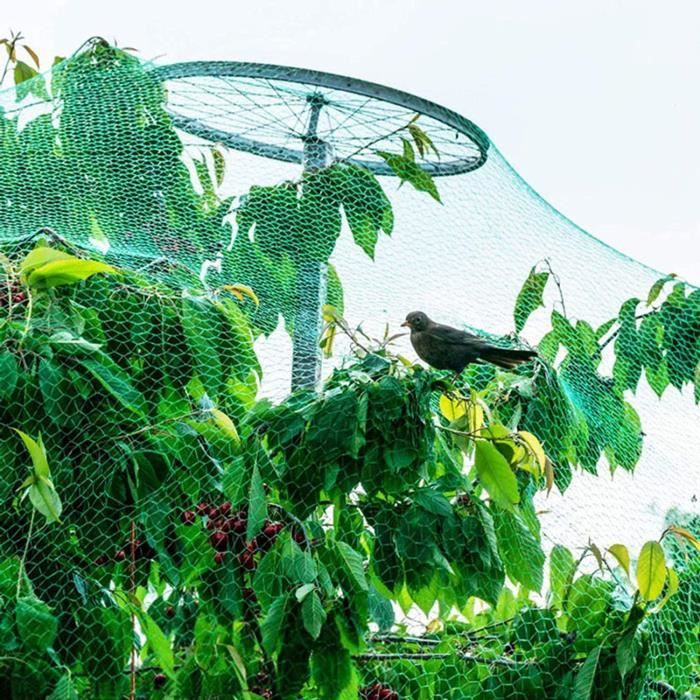 Filet Anti-Oiseaux Pour Arbres Fruitiers – Protection Jardin, Taille 8 X 3 M, Réutilisable Et Résistant