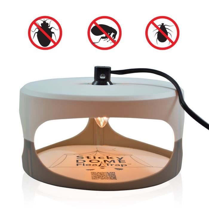 collant dôme 2 disques de colle tueur lampe anti mouche insectifuge piège à moustiques antiparasitaire outil d'élimination des puces