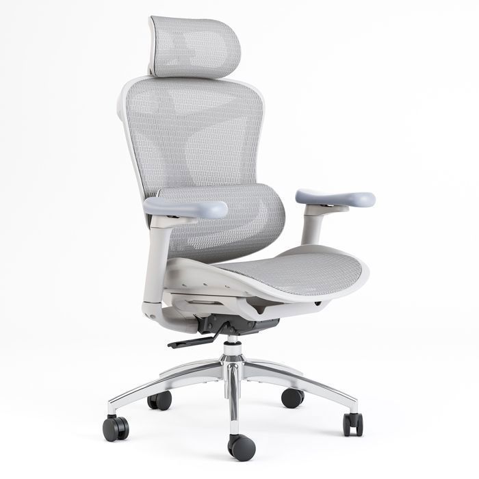 SIHOO Doro C300 Chaise de Bureau Ergonomique avec Soutien Lombaire DynamiqueAccoudoirs et Dossier Réglables 3D Blanc