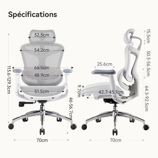 Acheter Chaise de bureau ergonomique SIHOO Doro C300 L-A3-002, blanche en France
