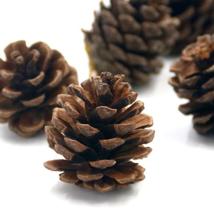 200 Pommes De Pin Décoratives - Naturelles, 4-6cm, Pour Déco Automne/Noël, DIY