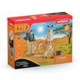 Coffret Aventures en Océanie SCHLEICH - Figurines de kangourous et ranger Tom avec accessoires - Gamme Wild Life-8
