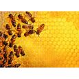Puzzle 1000 pièces - La ruche aux abeilles (Challenge Puzzle) - Adultes et enfants dès 14 ans - 17362 - Ravensburger-0