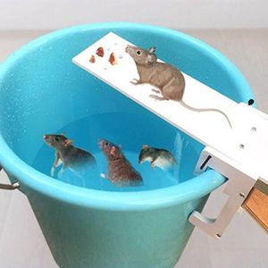 Nasse à rat multiprises 40 cm - Cdiscount Jardin