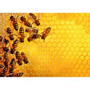 PUZZLE Puzzle 1000 pièces - La ruche aux abeilles (Challe