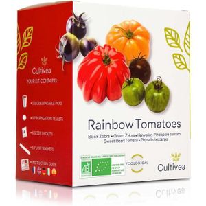 GRAINE - SEMENCE CULTIVEA Mini - Kit Prêt à Pousser Tomates colorée