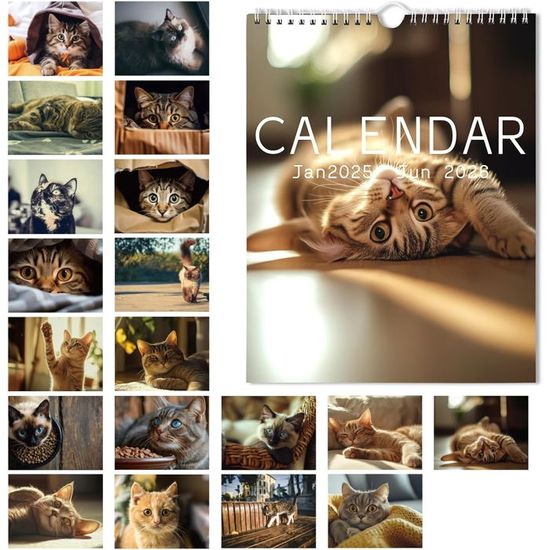 Calendrier De L'Avent Chien Teckel 2025 - 24 Ornements Drôles Pour Arbre De Noël Et Décorations Festives