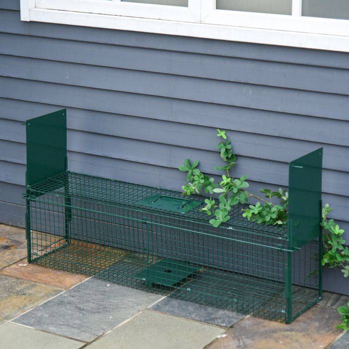 6583 Piège Vivant Cage Attrape 100 x 25 x 28 cm Piège Fouine pour Martres Rats Souris - 2 entrées + poignée - métal vert