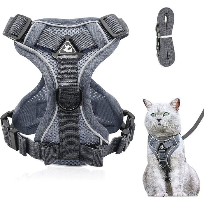 Harnais Réglable Anti-éclatement pour Chat Avec Laisse - Souple de Poitrine pour Chiot - Gris L Gris L