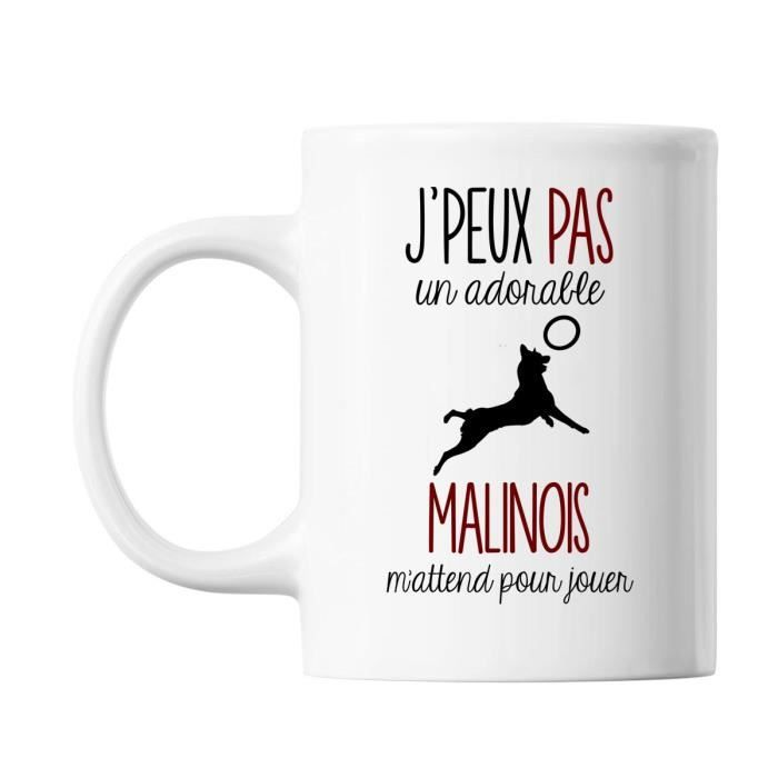 Mug Imprimé Chien Frenchie Mug Personnalisé Cadeau Cadeau Mug
