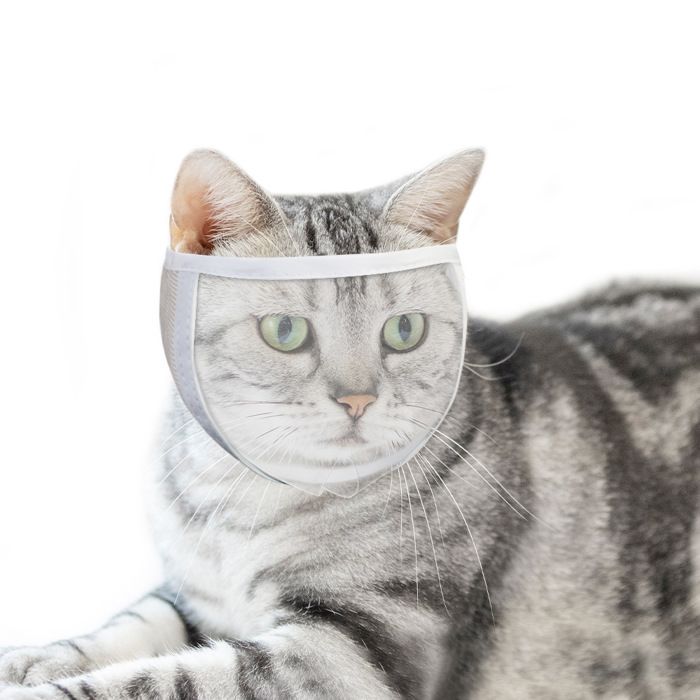 Muselière INF pour chat pour le toilettage et le traitement