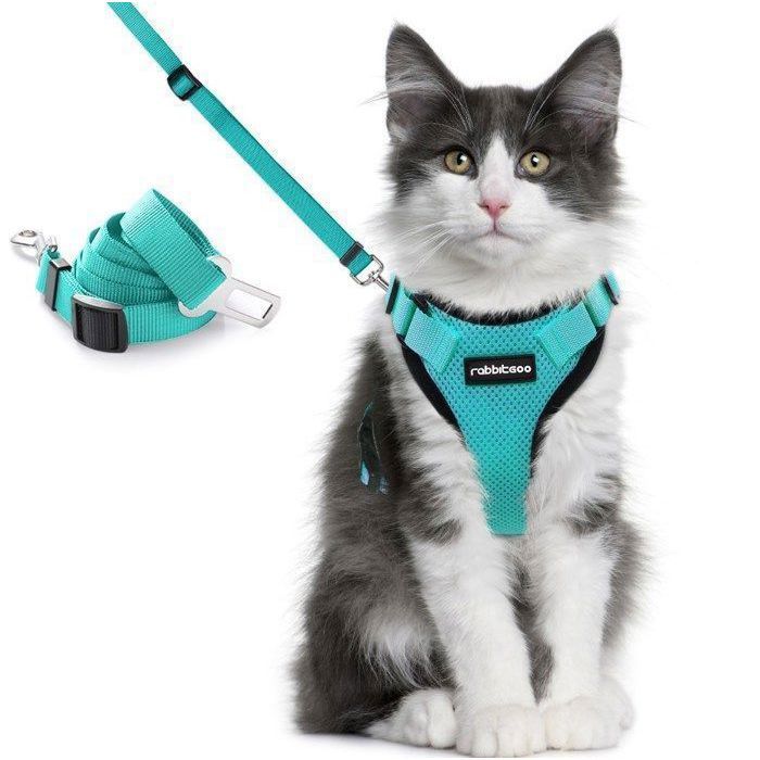 Harnais Chien Chat Anti Traction Harnais Pour Chaton Petit Chien Reglable Avec Laisse A Double Usage Pour Voiture Taille S Vert Cdiscount