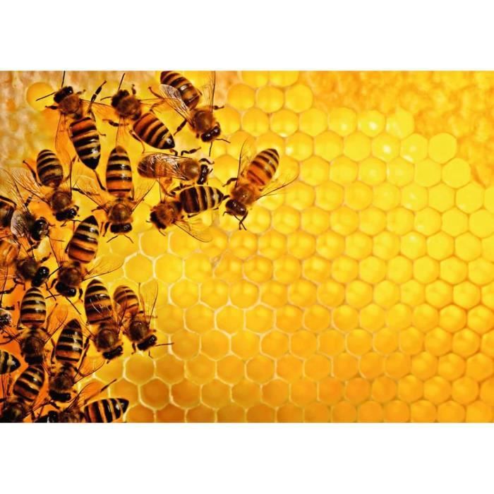 Puzzle 1000 pièces - La ruche aux abeilles (Challenge Puzzle) - Adultes et enfants dès 14 ans - 17362 - Ravensburger