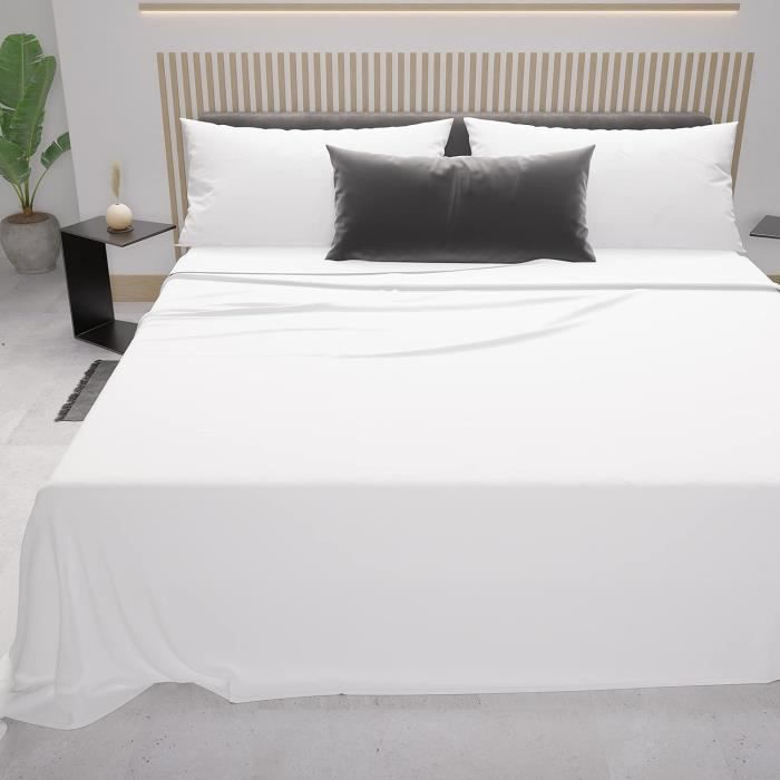 CoastalCart Draps 100% coton de qualité égyptienne pour lit très grand