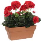 Plante Artificielle - Mica Decorations - Géranium - Rouge - 29x13x40 cm - Intérieur
