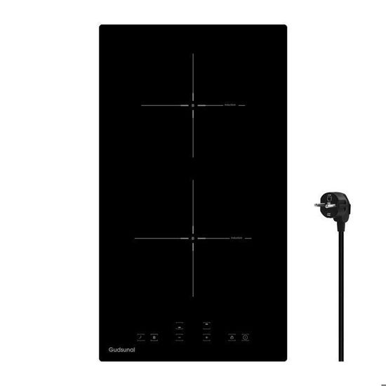 Plaque Induction 2 Feux Encastrable 3600W - 9 Niveaux, Boost, Minuterie, Sécurité Enfant - Dimensions 29x52 Cm