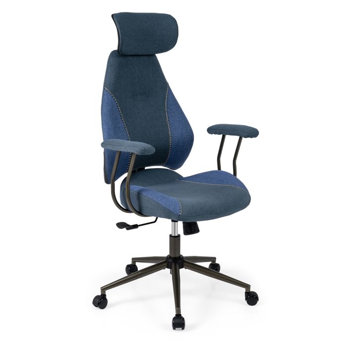 GIANTEX Fauteuil de Bureau Ergonomique en Suède - Accoudoirs Rabattables - Réglable en Hauteur - Bascule - Charge 150 kg - Bleu GIANTEX Fauteuil de Bureau Ergonomique en Suède - Accoudoirs Rabattables - Réglable en Hauteur - Bascule - Charge 150 kg - Bleu