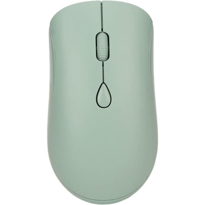 Souris Sans Fil Rechargeable USB - 1600 DPI, Optique, Silencieuse - Noir, Format Mince - Neuf