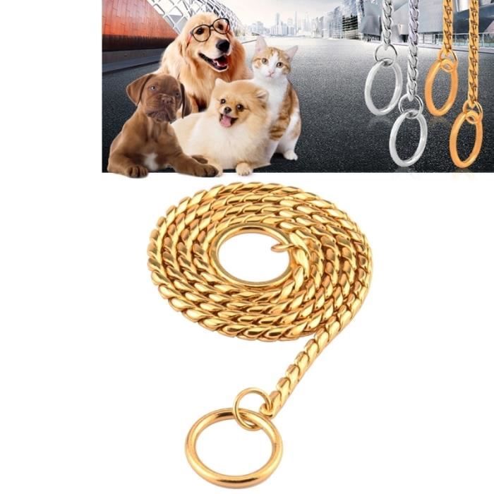 Collier Chien Chat Or Pour Longueur 40cm Chaîne En Métal Solide Serpent Animaux De Compagnie Colliers Autre