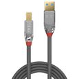 LINDY Câble USB 3.0 type A vers B - Cromo Line - 2m-1