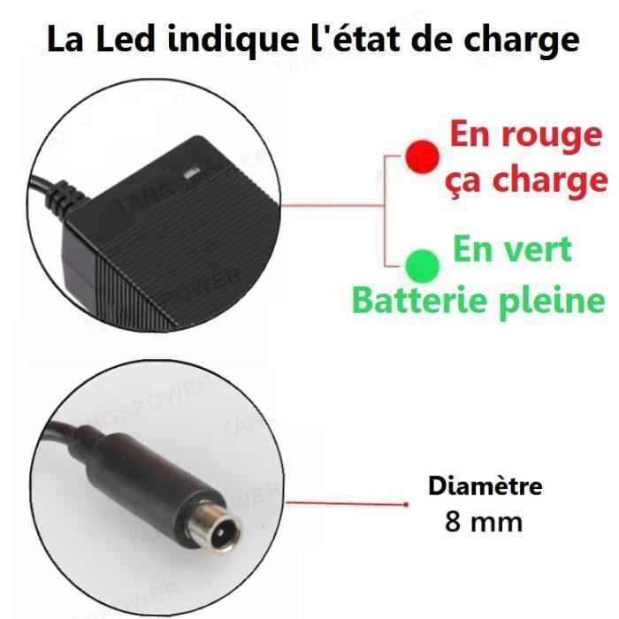 Caricabatterie Segway Ninebot NBW25D201D5N – 24,2V – Per E2 E E2plus