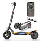 Trottinette Electrique iScooter iX3 800W Autonomie 40KM 10" Batterie 48V 10Ah APP Double Amortisseurs