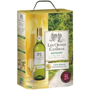 VIN BLANC ORMES DE CAMBRAS Sauvignon Vin de Provence - Blanc