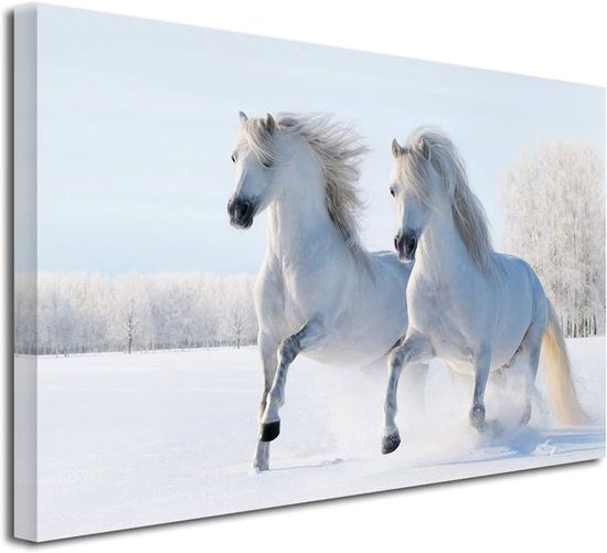 x2 Evocators (Legende) Plastique Warhammer AOS | P-00N2Z